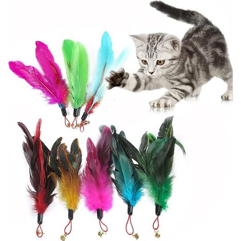 Jouet pour chat - Plumes interactives - Lot de 8 - Multicolore (1/5)