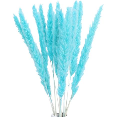 Petits roseaux séchés Phragmites décoration naturelle fleurs séchées accessoires photo pour hôtel mariage (1/5)