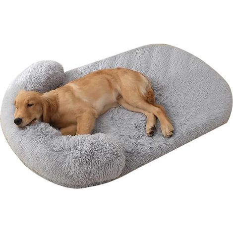 Panier pour Grand Chien 100×75×15 cm – Lit Moelleux en Peluche avec Bords Surélevés – Convient aux Chiens Jusqu’à 30 kg (1/5)