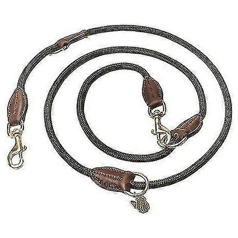 Laisse en cuir pour chien domestique (1/5)