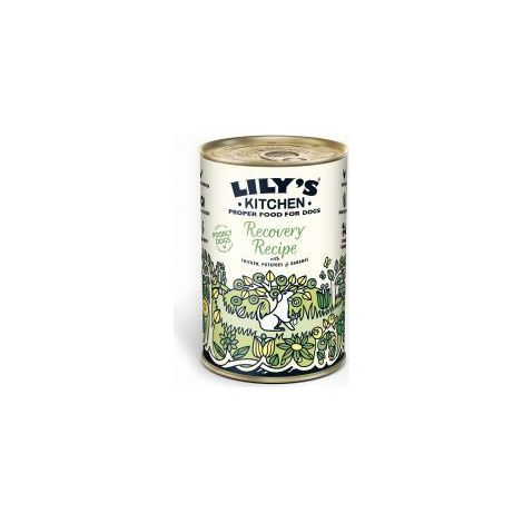 Lk Dog Recovery Recipe 400g - 640877 (1/5)