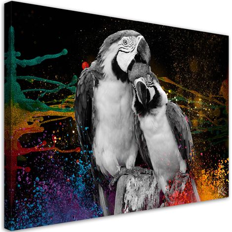 Quadro su tela, Astrazione di pappagalli colorati - 90x60 (1/5)