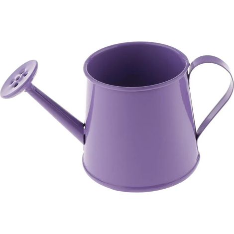 Arrosoir bonsa en mtal violet (1/5)