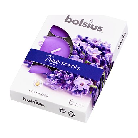 Bolsius 6er-Pack Duftwärmer. Ts Laven./326