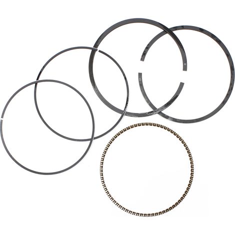 Pezzo di ricambio kit fasce elastiche motore a benzina da 13 CV