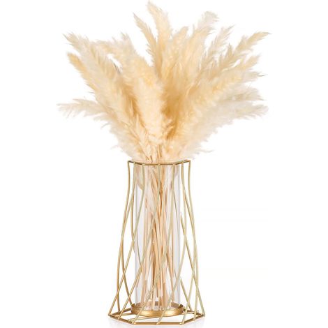 Dore Vase Decoratif Design pour Pampa - Moderne Verre Vase pour Tulipes Petit Géométrique Metal Vase Fleur Centre de Table Vase pour Mariage Table Maison Salon Bureau Chambre Salle (1/5)