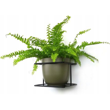 Supporto da parete moderno Flora, cestino da parete in metallo nero stile loft per vasi di fiori, fatto a mano (1/5)