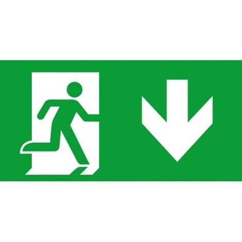 Ceag Notlichtsysteme Piktogrammscheibe 1-seitig PU ISO 7010 40071354132