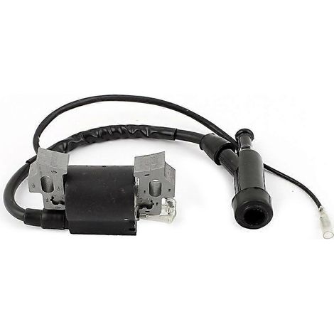 Bobines d'allumage pour groupe électrogène à essence Honda 5,5 CV 6,5 CV 168F (1/5)