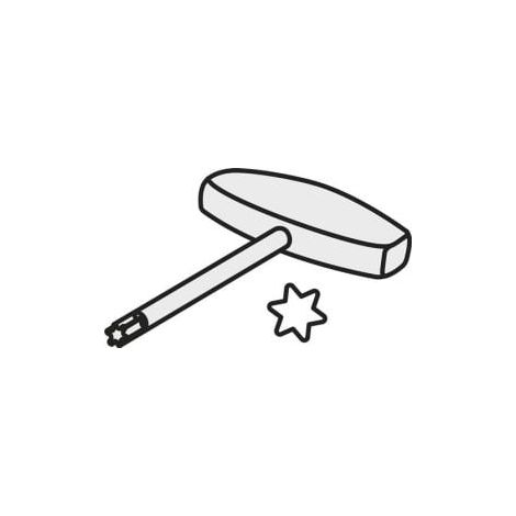 Torx-Schlüssel ISO SDR T30P-T Bruttogewicht 77g PRAMET (1/2)