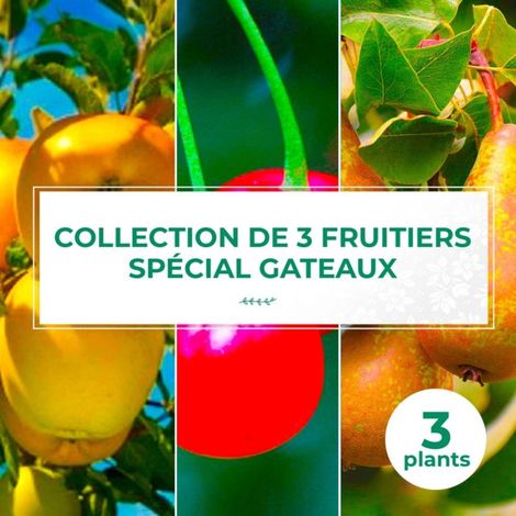 Collection 3 Fruitiers Spécial Gâteaux (1/2)
