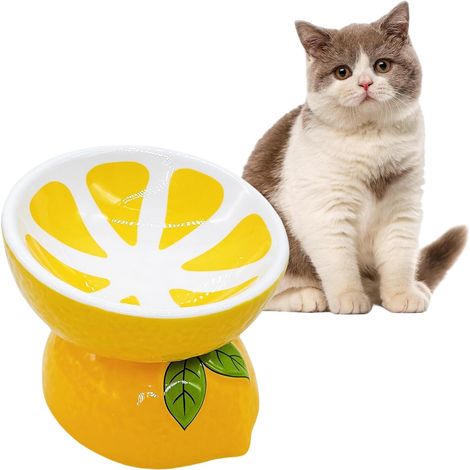 Ceramic Raised Cat Bowl 5 Inch Extra Width Cat Bowl for Food and Water, Anti-Vomiting Tilt Pet Feeding Tray (1/4)