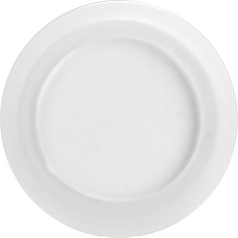 Disque Diffusion CO2 - Céramique 26 mm - Pour Aquarium Et Ecosysteme Aquatique - 2 Pièces (1/5)
