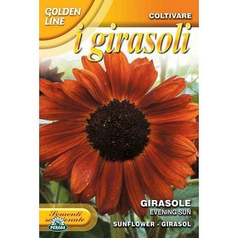 BUSTINA CON SEMI DI GIRASOLE EVENING SUN (1/2)