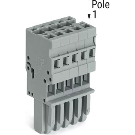 Accessoires de connexion Wago 769-105 32A 5 pôles (1/2)