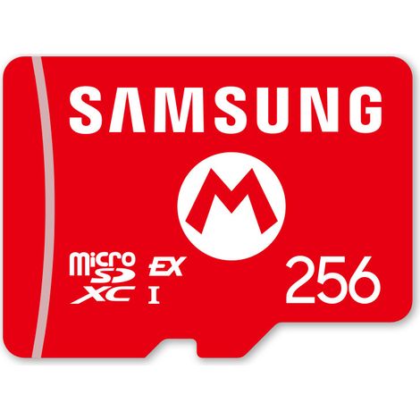 Nintendo 10016156 memoria flash 256 GB MicroSDXC (1/3)