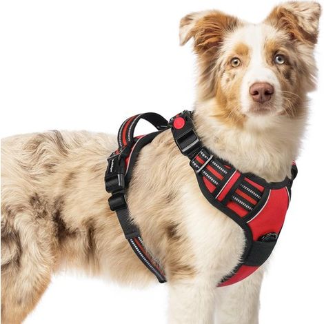Arnés para perros, Arnés sin tensión, Arnés con clip frontal y anilla metálica reflectante ajustable, Asa fácil de usar, Rojo, Talla M (1/5)