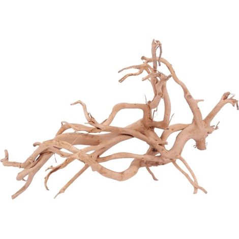 XXL Moorkienwurzel Nr.4308 Holz Deko Aquascaping