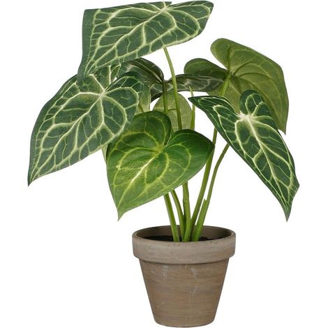Pianta artificiale Caladium "Orecchio di elefante" Verde con vaso 21x28 cm (1/5)