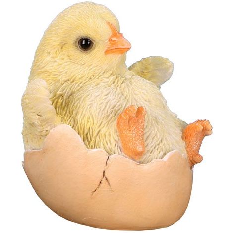 POUSSIN COQUILLE 8CM