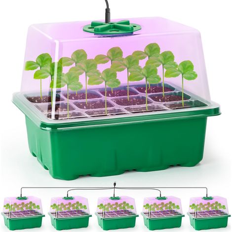 Ensemble de 5 plateaux de semis, mini-serre avec couvercle transparent, trous de drainage, pour germination graines, jardin intérieur (1/5)