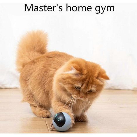 Jouet pour chat Yaju, balle électrique, intelligente et interactive avec rotation à 360°, 1 pièce, bleue (1/2)