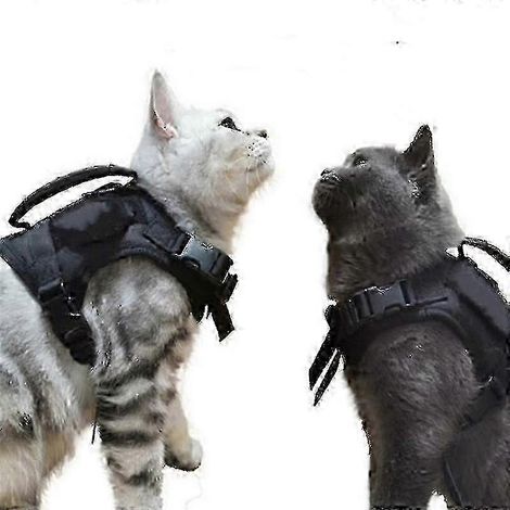 Harnais tactique pour chat, idéal pour les promenades, anti-fugue, harnais souple et ajustable pour animaux de compagnie. (1/5)