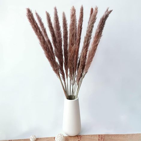 MINKUROW Bcc 15 getrocknete Pflanzen (55 cm) Natürliche Blumenakzessionen, Blumenstrauß, Boho-Dekoration für Zuhause, Schlafzimmer, Wohnzimmer, Badezimmer, Objekt, moderne Hochzeit, 55 cm, Originalfar (1/4)