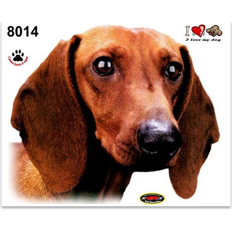 Adesivi Stickers Medi Cane Bassotto 13,5 x 16 cm