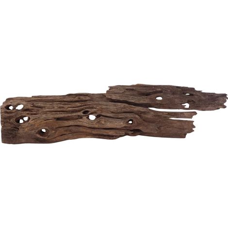 L Honey Comb Wurzel Nr.2982 Holz Deko Aquascaping
