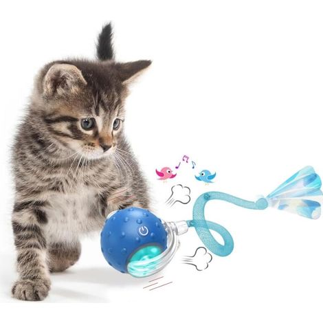 Interactive ball toy for indoor cats
