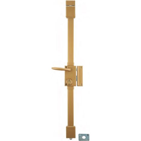 THIRARD - Serrure en applique Targa à tirage pour porte d'entrée, gauche, 3 pts, cylindre Transit2 30x65mm, axe 45mm, or, 4 clés - THIRARD (1/2)