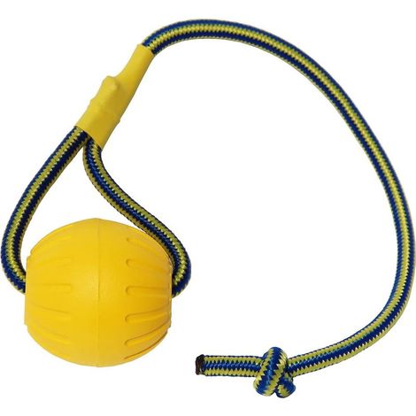 Balle pour chien avec laisse, balle d'entraînement en mousse pour chien, balle flottante pour chien, mini jouet de tir à la corde pour grand chien (grande balle). (1/5)
