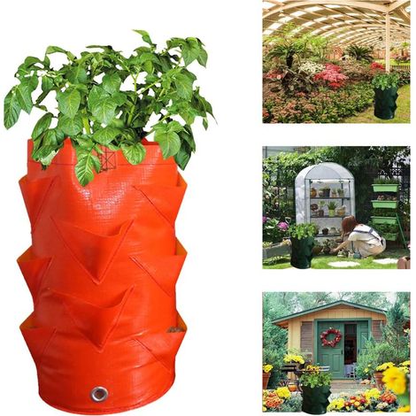 Garten Hnge-Erdbeere Pflanzbeutel,1 Set, Jaune (1/5)