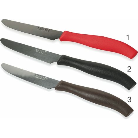 SET 6 COLTELLI TAVOLA 21CM PUNTA TONDA 3 COLORI ASSORTITI (1/5)