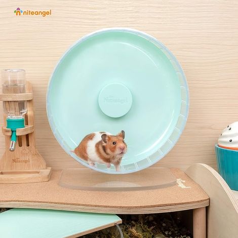 Roues d'exercice pour Hamsters - Roues de Course avec Support pour Hamsters, gerbilles, Souris ou Autres Petits Animaux (Format Moyen, Vert) (1/4)
