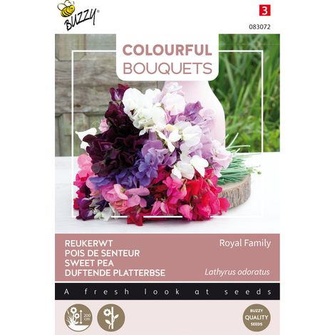 Buzzy Colourful Bouquets Royal Family (lathyrus) Semences - Ca. 5 (1/2)