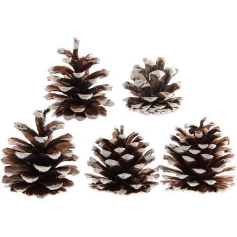 Kaemingk – Pommes de pin naturelles à pointes blanches – Ø 5 cm, H 7 cm, lot de 5 (1/3)