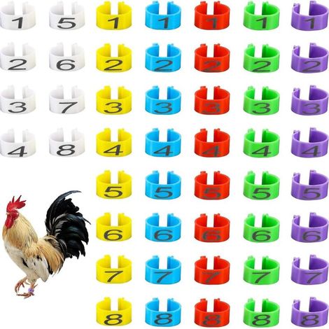 Anneaux Pour Cuisses De Poulet - Anneaux À Clip 16 Mm - Pour Élevage Avicole - Lot De 48 (1/5)