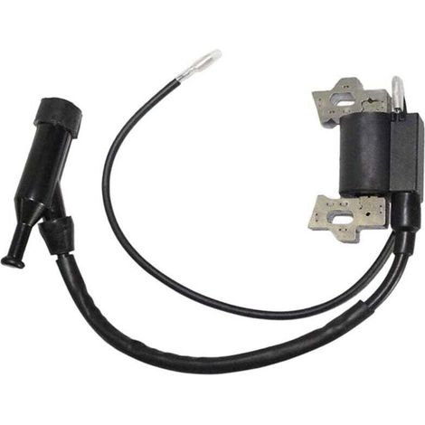 Bobine D'Allumage Compatible Moteurs Honda GX110 GX120 GX140 GX160 GX200 Pièce 30500-ZE1-003 (1/3)
