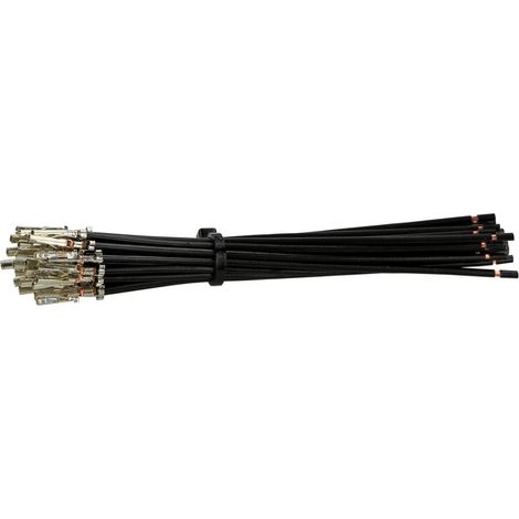 Terminal de Prise Molex Mini Fit -f- avec Cable de 10 cm Noir