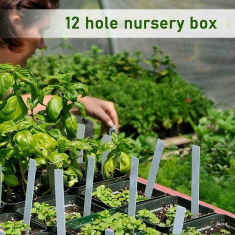 Plateau de germination à 12 alvéoles pour semis, idéal pour la maison, le jardin, le balcon ou la pépinière. Support de culture pour plantes. (1/5)