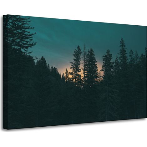 Lienzo impreso Naturaleza Bosque al atardecer 90x60 cm Oscuridad