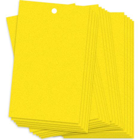 Plaques Collantes Anti-Insectes Volants 20 pièces 20x15cm Jaunes Dual-Side pour Champignons, Pucerons, Thrips Imperméable et Réutilisable Fil de Suspension Inclus (1/5)