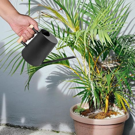 1L Pot d'Arrosage à Long Bec avec Poignée Bois, Arrosoir Acier Inoxydable Petit, Arrosoir Plante Jardin d'extérieur pour Plantes en Pot d'Intérieur, Orchidées, Fleurs, d'herbes, Plantes Grasses Noir (1/5)