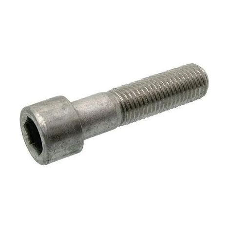 Vite Acton dn 912 acciaio inox 12 mm x 30 mm confezione 100 (1/2)
