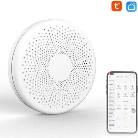 Wifi 2 en 1 détecteur de fumée de monoxyde de carbone intelligent Co détecteur de son de gaz fonction d'alarme de lumière stroboscopique (1/4)