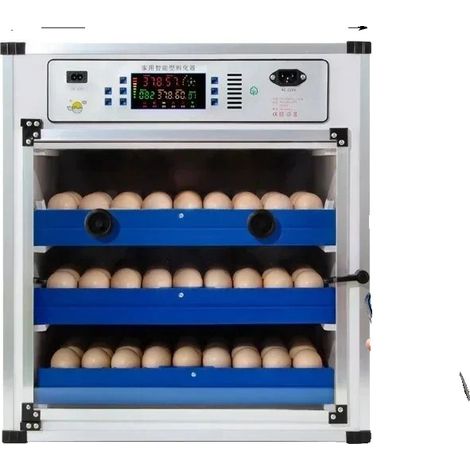 Incubadora de huevos, gran capacidad, doble fuente de alimentación, 204 huevos, AC220V y DC12V. (1/2)