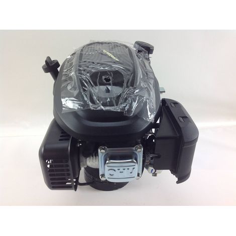COMPLETE LONCIN Elektrostart ST 170 LS OHV 166 cc Benzinmotor (1/4)