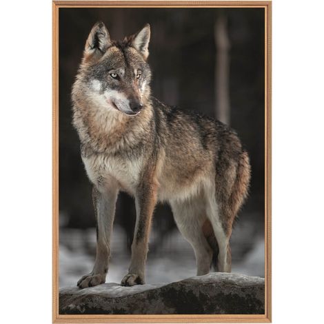 Tableau mural encadré le loup 65x97 cm - Tableau Mural Décoratif - Image Encadrée Imprimée en HD - Impression 65x97 cm sur Fibres de Bois FSC - Finition Mate - Fabriqué en France (1/5)